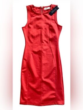 THE CLASSIC Chic NWT DRESS Size Small